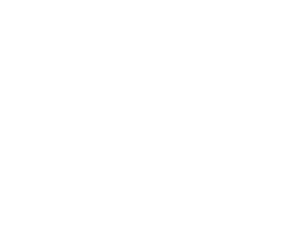 Homelius Bee Logo